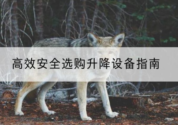 随州升降货梯厂家推荐-*安全选购升降设备指南