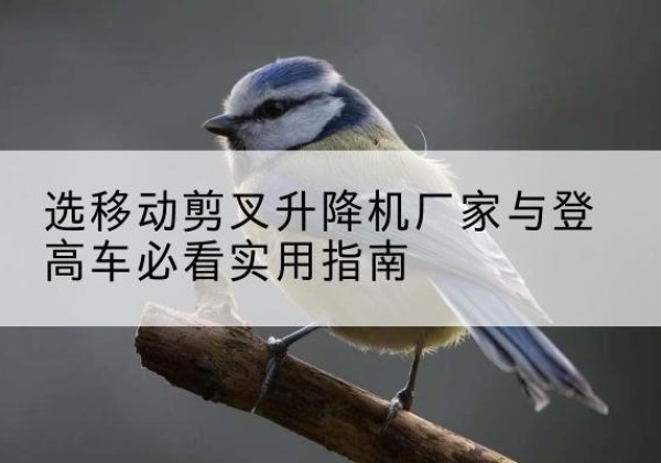 随州电动升降机厂家-选移动剪叉升降机厂家与登高车必看实用指南